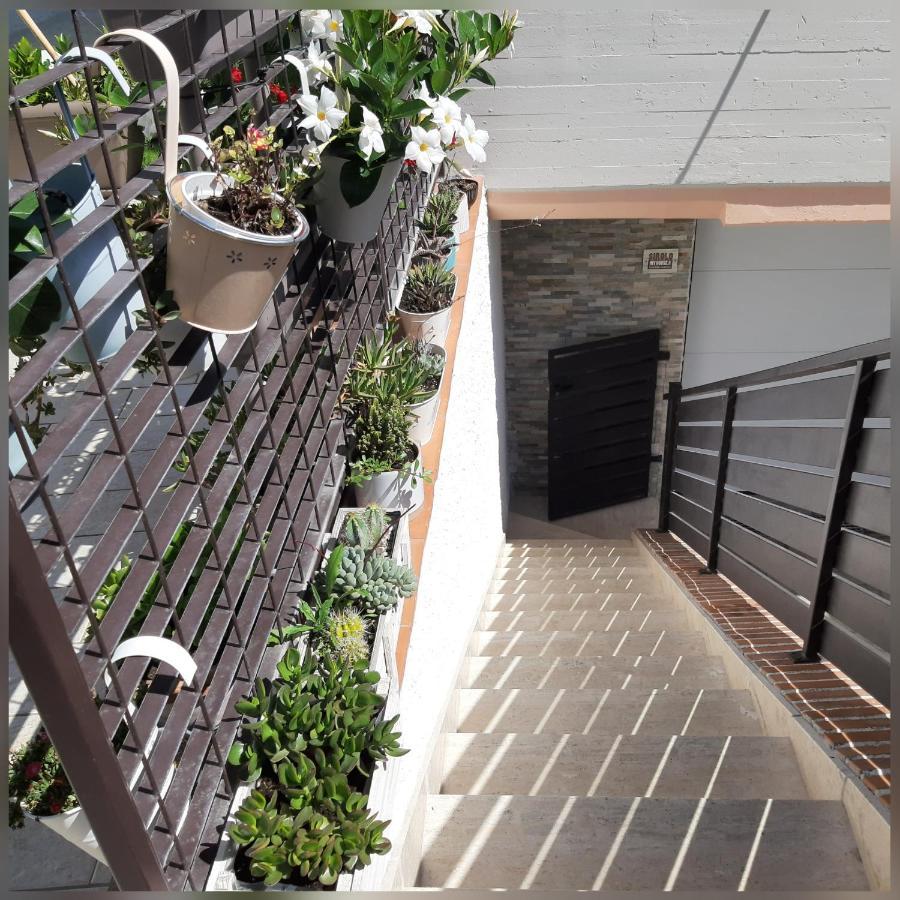 B&B Sirolo My House Exterior photo